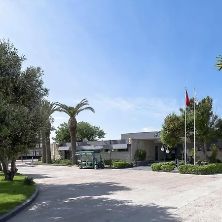 Hotel A11